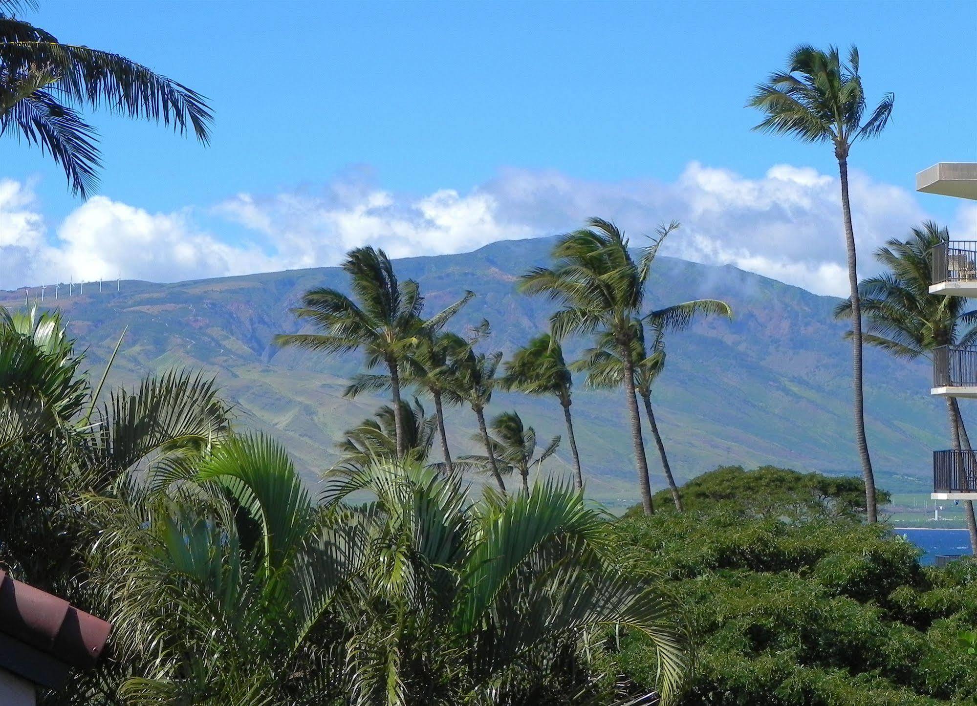 Luana Kai Resort Kihei Eksteriør billede